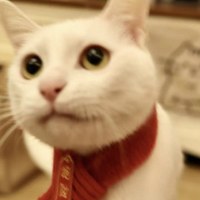 老彭