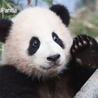 涛涛涛