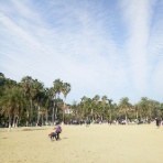 烽言烽语