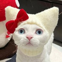 加绒