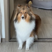 小林Joanne
