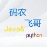 码农飞哥|RPA定制