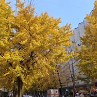 稳健