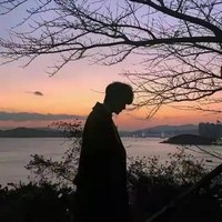 坚韧的查理