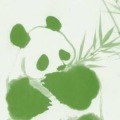陈社长
