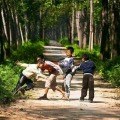 哄哄