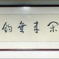 任衍政