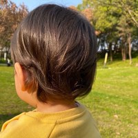 一颗小苗苗