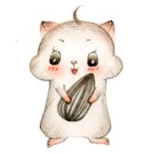 小灰
