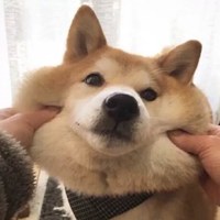 拓