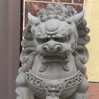 小趴菜